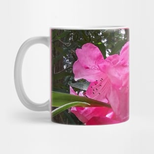 Pink Flowers Nature Photography Pacific Northwest Mug